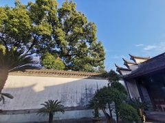-天一阁博物院