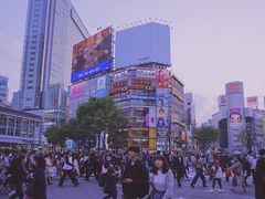 -涩谷区