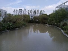 -复旦大学(张江校区)