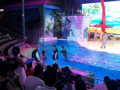 -三亚海昌梦幻海洋不夜城