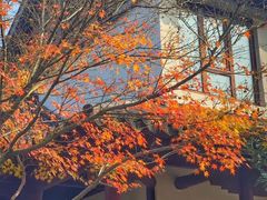 -缥缈峰景区