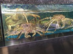-宝燕壹号(徐汇店)