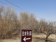 -白水寺森林公园