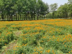 -江苏三台山国家森林公园