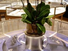 -DE BEERS 戴比尔斯(上海国金中心店)