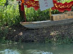 -合肥滨湖国家森林公园