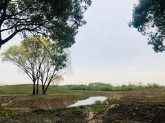 -金岛生态园烧烤露营地
