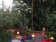 -乌托邦酒吧和餐厅