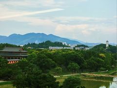 -永安龟山公园