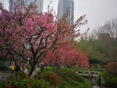 -江宁织造博物馆