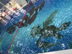 -尼莫亲子游泳NEMOSWIM(西美中心)