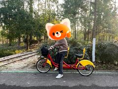 -合肥滨湖国家森林公园