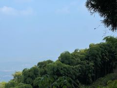 -金鱼妈妈 山野·食趣(荫山街店)