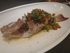 清蒸东星斑-福玺荟(外滩罗斯福店)