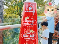 -铁山坪森林公园