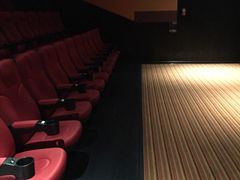 -百丽宫影城(CGS激光苏宁广场店)