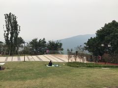 -铁山坪森林公园