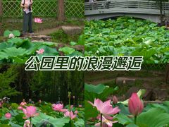 -大宁公园