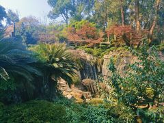 -南山植物园