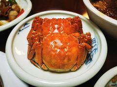 -金锅小厨(乐活街店)