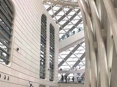 -凤凰中心