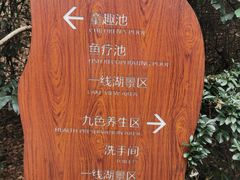 -天目湖涵田半山温泉