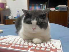 -艾贝尔宠物医院 ·内科全科(梁溪路店)