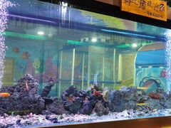 -御池园(顾村公园店)