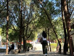 -泰山风景名胜区-普照寺