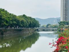 -黄连大头华烧鹅店(大良店)