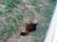 -青岛森林野生动物世界