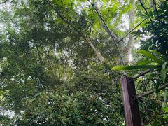 -野象谷景区