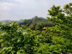 -莫干山风景区