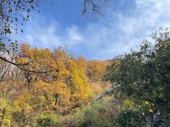 -终南山南五台景区