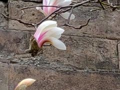 -东华门大街小区