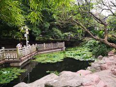 -晓港公园