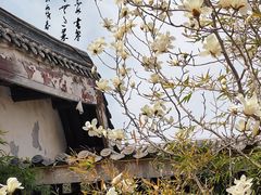 -桃花堤公园