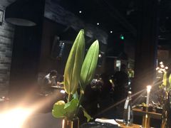 -AZUL by FUEL蓝色·法式酒馆(琶醍店)