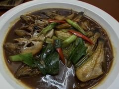-杨记新泉美食