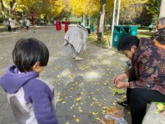 -西清公园