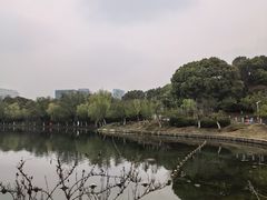 -天鹅湖体育公园