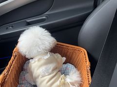 -心仪动物医院·牙专科·肿瘤·心脏科(西客站院)