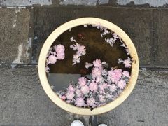 -西安青龙寺遗址景区