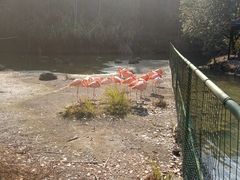 -千岛湖东南湖区