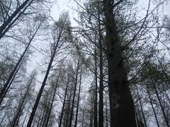 -南京金牛湖风景区