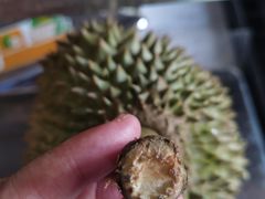-榴莲BB 四季果园