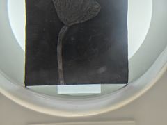 -山东省科技馆(新馆)