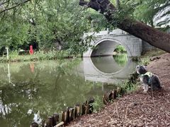 -梁鸿国家湿地公园