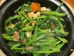 -十六蒲(桂林路店)