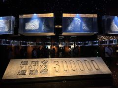 -侵华日军南京大屠杀遇难同胞纪念馆-停车场